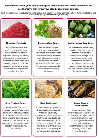 Sugar Reset ingredients: Chromium Picolinate, Gymnema Leaf, African Mango Seed, Green Tea Leaf, Maca Root and Panax Ginseng extracts